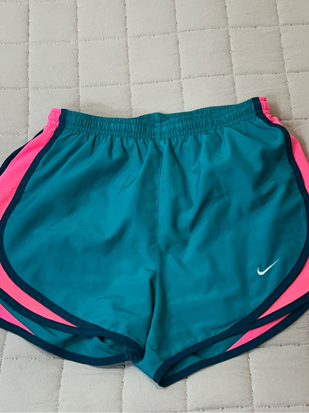 Nike Teal and Hot Pink Women's Athletic Running Shorts